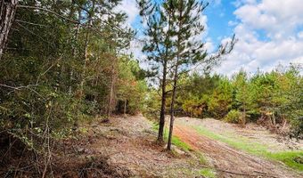 644 Ash-Harrel Loop, Abbeville, GA 31001