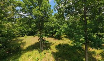 County Road 200, Alton, MO 65606