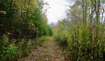 595 Rock Creek Ridge Rd, Bakersville, NC 28705