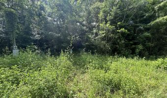 000 Ann Hinton Rd, Beaumont, MS 39462
