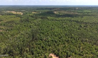Broadview Avenue, Alford, FL 32420