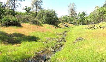 3528 Appaloosa Way, Angels Camp, CA 95222