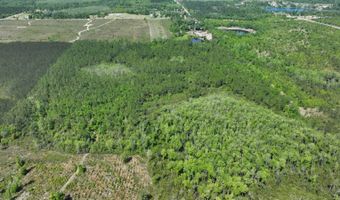 xxx County Hwy 73, Altha, FL 32421