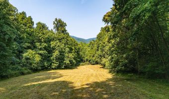 2476 ENNIS MOUNTAIN Rd, Afton, VA 22920