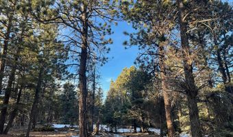 Lot 352 Vail Loop, Angel Fire, NM 87710