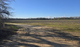 0 County Rd 17, Autaugaville, AL 36003