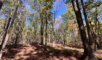 1235 White Hill Rd, Alma, NY 14715