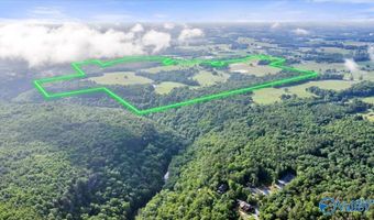 191 County Road 368, Albertville, AL 35951
