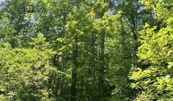 Denio Road, Barnet, VT 05821