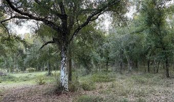 SE BROWN Road, Arcadia, FL 34266