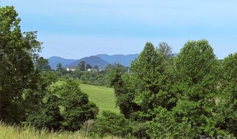351 Mag Sluder Rd, Alexander, NC 28701