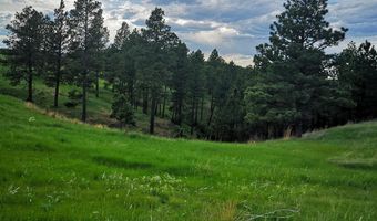 Lot 3 BBCR Road, Belle Fourche, SD 57717