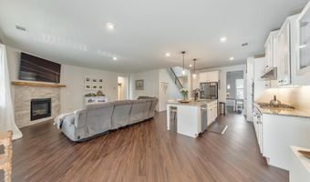 229 Gallant Fox Way, Acworth, GA 30102