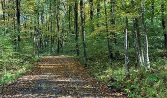 9822 Culver Brook Rd, Alder Creek, NY 13309