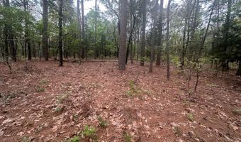 UNIT # 263B KIAMICHI WILDERNESS RD Unit # 63 63, Antlers, OK 74523