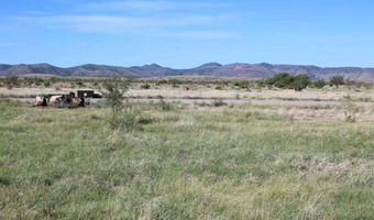 Tract 85 Sierra La Rana, Alpine, TX 79830