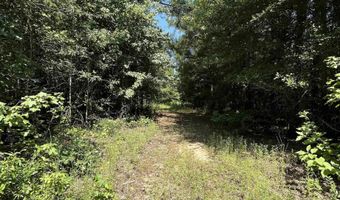179 Little River 67 Rd, Ashdown, AR 71822
