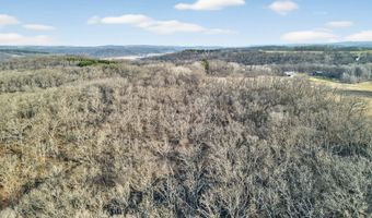 271 18 Acres Zwettler/Foster Rd, Arena, WI 53503