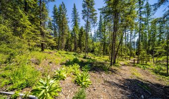 1140 Salee Creek Rd, Bayview, ID 83803