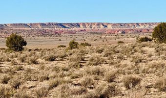 N7009 40 Acres, Chambers, AZ 86502
