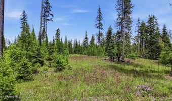 NNA Estate at Farragut Lot 3 Blk 1, Athol, ID 83801