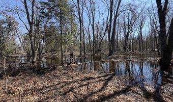 139 AC Witt Rd, Alpena, MI 49707