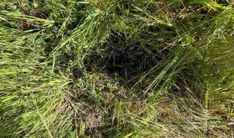 431 Christina Ct, Antioch, CA 94509