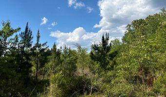 272 Church Camp Rd, Bishopville, SC 29010