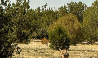 W Mile High Rd Lot C 10 Acres, Ash Fork, AZ 86320