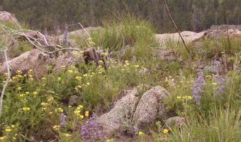 3434 Davis Ranch Rd, Bellvue, CO 80512