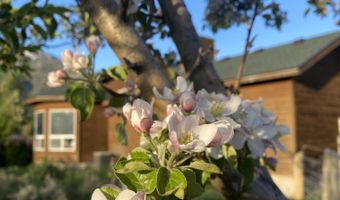 60 BUCKRAIL Ln, Alpine, WY 83128