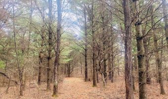 42 53A COUNTY ROAD Q, Amherst Junction, WI 54407