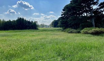 0 BAILEY Rd, Baileyton, AL 35019