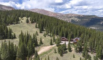 62 Lazy Rex Rd, Alma, CO 80440