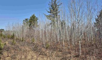 26 Acres Hilltop Kelso, Crystal Falls, MI 49920