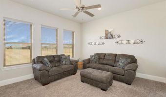 1040 Sugar Bars Dr, Lucas, TX 75002