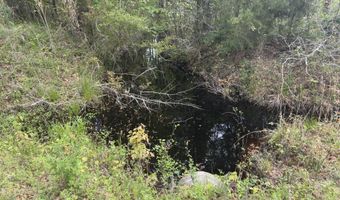 Tract 5 Smith Lane, Bowman, SC 29018