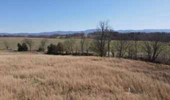 Tbd Lot 4 River Village Ln, Afton, TN 37616