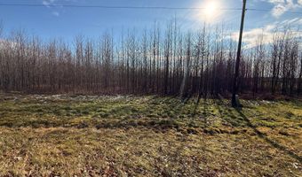 BLACK SWAMP ROAD, Felton, DE 19943