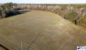 TBD Horse Branch Rd, Turbeville, SC 29162