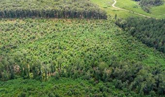 62- Acres Grandmas Hill Rd, Amherst, VA 24521