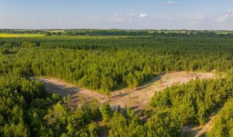 Mann Road 1, Arabi, GA 31712