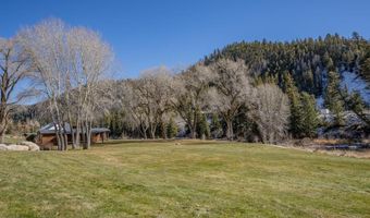 1220 Wilder Mountain Rd, Almont, CO 81210