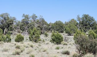 690 Westwood Rnch, Ash Fork, AZ 86320