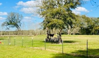 10 SW 50th Ave, Bell, FL 32619