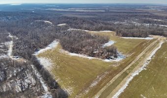 Sandy Branch Road, Bardwell, KY 42023