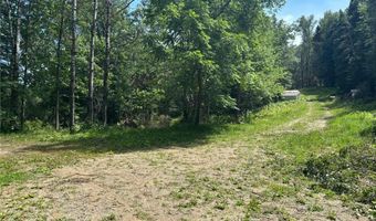 13102 Seaberg Ln, Bagley, MN 56621