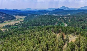 19 E Pine Dr, Bailey, CO 80421