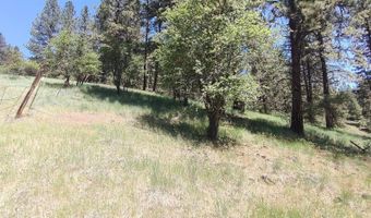 400 Bobcat Dr, Ahsahka, ID 83520