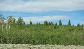 TRACT 14 SPRING HOLLOW ROAD, Daniel, WY 83115